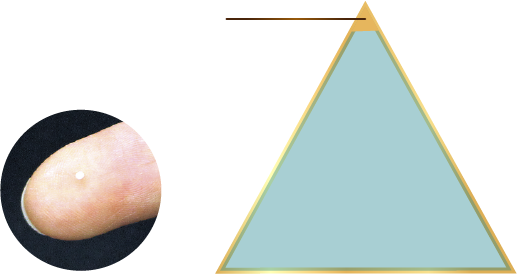 極小パウダービーズ