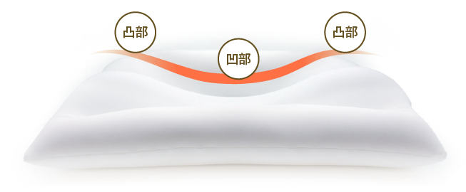 フィットカーブ